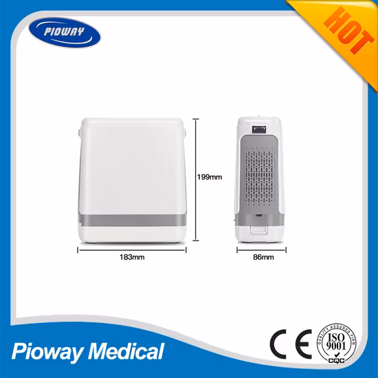 Jay-1000p 펄스 흐름 5L 휴대용 산소 농축기